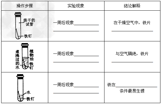 某化学兴趣小组为了探究铁生锈的条件,做了以下实验,请完成下表