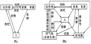 下图是两个农业生态系统的结构模式图.